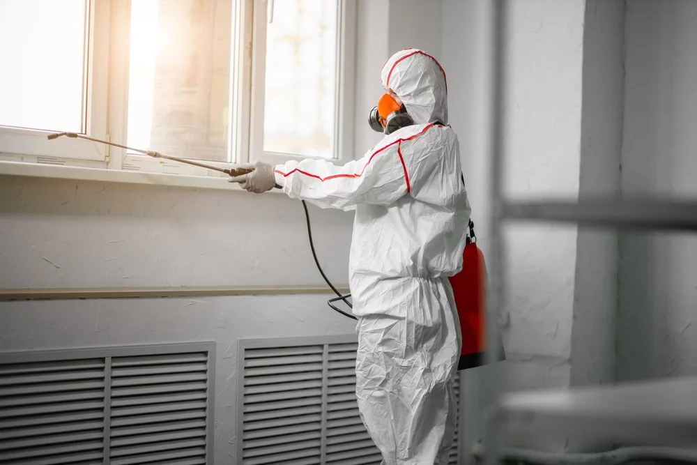 Professional mold remediation services in Waterloo, WI